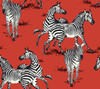 HG11101 Playful Zebras Red Animal Print Theme Vinyl Self-Adhesive Wallpaper Harry & Grace Peel and Stick Collection Made in United States