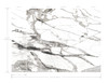 FM1109M Imperial Marble Mural Black Off White Non Woven Texture Style Wallpaper Mural from Formations