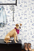 SG10402 Best in Show Indigo Animal Print Theme Vinyl Self-Adhesive Wallpaper Stacy Garcia Peel and Stick Collection Made in United States