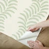 SSS6665