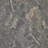 AH296708