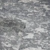AH297601