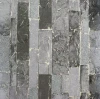 AH295204