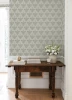 NNS6520