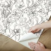 BDS6082