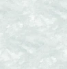 NUS4989