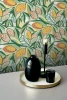 NUS6216