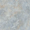 AH298601