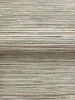 COD0637