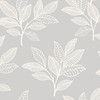 Wallquest RY30800 Paradise Leaves Daydream Gray