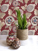 Wallquest RY31201 Calypso Paisley Leaf Cabernet and Coral