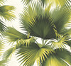 Kenneth James by Brewster PS40114 Palm Springs Endless Summer Green Palm Wallpaper