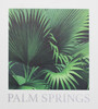 Kenneth James by Brewster PS40306 Palm Springs Away On Holiday Brown Palm Wallpaper