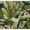 York Wallcoverings AT7071 Tropics Banana Leaf Wallpaper, Black/Green - Removable