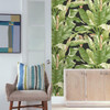 York Wallcoverings AT7071 Tropics Banana Leaf Wallpaper, Black/Green - Removable