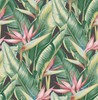 Kenneth James by Brewster PS40201 Palm Springs Arcadia Pink Banana Leaf Wallpaper