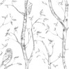 NuWallpaper by Brewster NUW1412 Grey Woods Peel & Stick Wallpaper
