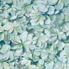 RoomMates RMK11192WP Hydrangea Peel & Stick Wallpaper Green, Blue