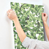 RoomMates RMK11045WP Palm Leaf Peel & Stick Wallpaper Green