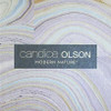 York Wallcoverings CZ2480 Candice Olson Modern Nature Cork Wallpaper metallic medium grey/blue, dark brown