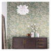 York Wallcoverings NV5511 Acanthus Toss Wallpaper Beige/Seafoam