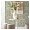 York Wallcoverings NV5511 Acanthus Toss Wallpaper Beige/Seafoam