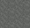 York Champagne Dots Wallpaper White/Black RI5111 Rifle Paper Co.