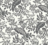 York Canopy Wallpaper Black/White RI5136 Rifle Paper Co.