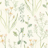 York Wallcoverings NR1565 Norlander Alpine Botanical Wallpaper White