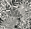 York Wallcoverings SS2575 Silhouettes Jungle Leaves Wallpaper Black/White