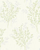 KItchen & Bath Essentials by Brewster 2766-40893 Haworthia Green Glitter Leaf Wallpaper