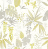 A-Street Prints by Brewster 2656-004017 Descano Flower Golden Green Botanical Wallpaper