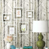 Chesapeake by Brewster 3118-12601 Birch & Sparrow Pioneer Off-White Birch Tree Wallpaper