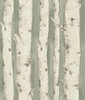 Chesapeake by Brewster 3118-12603 Birch & Sparrow Pioneer Sage Birch Tree Wallpaper