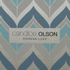 York Wallcoverings DN3803 Candice Olson Modern Luxe Harmony Wallpaper shining smoke blue, egg shell, whisper of grey