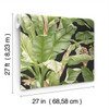 Grace & Gardenia Tropical Banana Leaf on Black 27 in Peel and Stick wallpaper