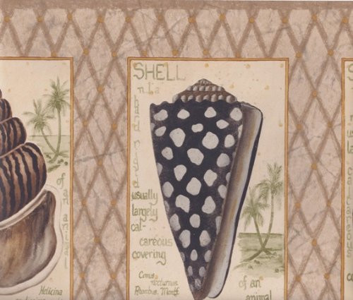 Wallpaper For Less Rg3925b Beige Diamond Sea Shells Wallpaper Border Brown The Savvy Decorator