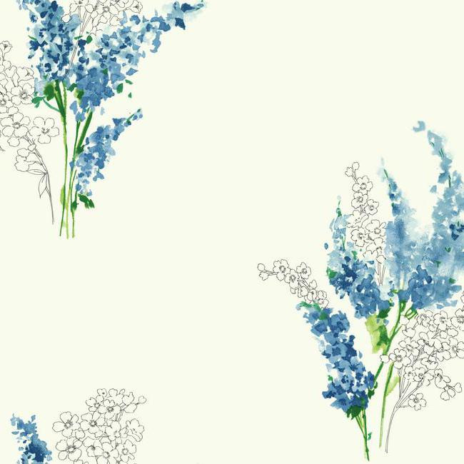 delphinium wallpaper