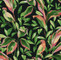 York Wallcoverings TC2651 Tropical Love Birds Wallpaper,Black / Green / Peach/ Red Prepasted Surestrip 27 In wide x 27 ft long 60.8 Sq Ft Designer Quality
