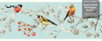 GB30011g8 Grace & Gardenia Birds in Pines Peel and Stick Wallpaper Border 8 in Height x 15ft Long, Blue White Pink Yellow