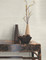 FM1073 Alignment Warm Neutral Taupee Cream Gray Non Woven Texture Style Wallpaper from Formations