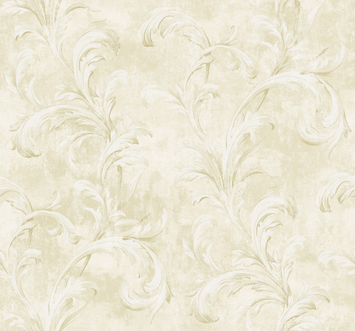 Elegant Scrolls Wallpaper in Honey VA10303 from Wallquest