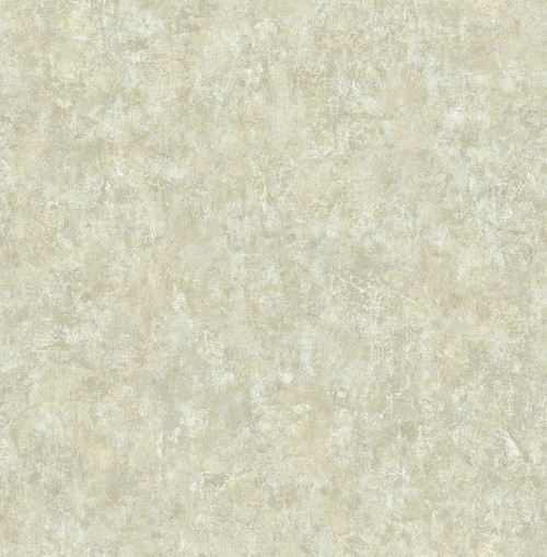 Nouveau Stucco Wallpaper in Chestnut AR31802 from Wallquest