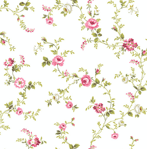 Happy Trails 2 U Wallpaper in Fuchsia HC81008 from Wallquest