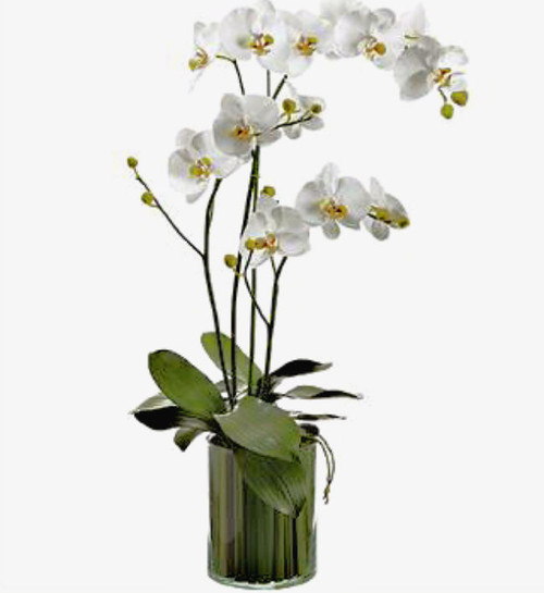Allstate Floral WF1910 Faux Floral White Orchids in Glass Vase
