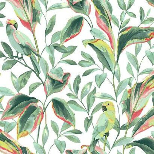 York Wallcoverings TC2653Tropical Love Birds Wallpaper White/GreenYellow/ Red Prepasted Surestrip 27 In wide x 27 ft long 60.8 Sq Ft Designer Quality