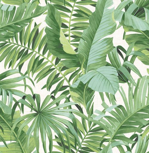 2969-24136 Alfresco Green Tropical Palm Wallpaper Tropical Style Botanical Theme Non Woven Material Pacifica Collection from A-Street Prints by Brewster Made in Great Britain