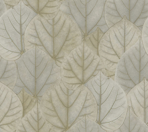 York Wallcoverings Modern Nature 2nd Edition OS4243 Leaf Concerto Wallpaper Taupe