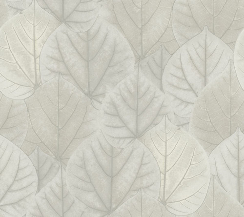 York Wallcoverings Modern Nature 2nd Edition OS4246 Leaf Concerto Wallpaper Gray