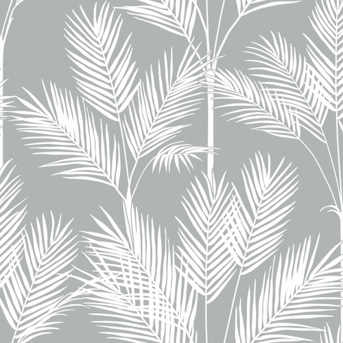 York Wallcoverings Water's Edge Resource Library CV4412 King Palm Silhouette Wallpaper Gray